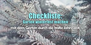 Garten winterfest machen: Checkliste