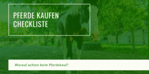 Pferd kaufen Checkliste