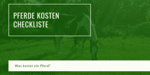 Pferde kosten Checkliste Hero