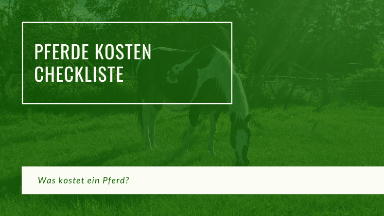 Pferde kosten Checkliste Hero